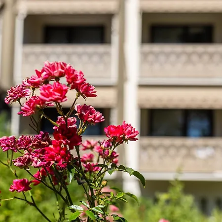 마가레타 호텔 블로톤퓌레드