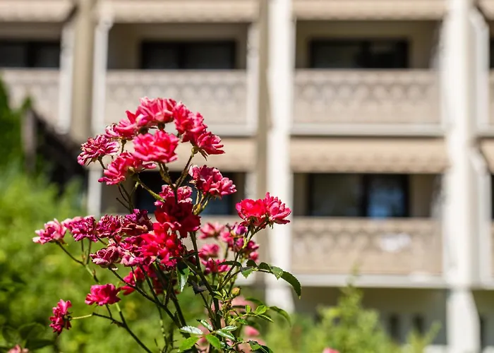 마가레타 호텔 블로톤퓌레드