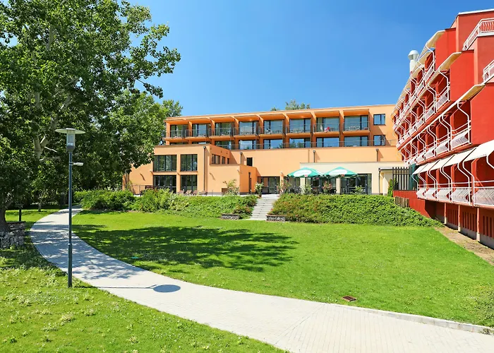 마가레타 블로톤퓌레드